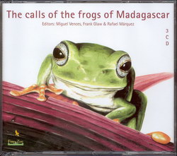 The Calls of the Frogs of Madagascar