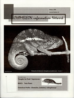 Chameleon Information Network Journal: No. 34, Winter 1999