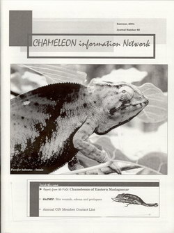 Chameleon Information Network Journal: No. 40, Summer 2001