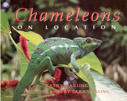 Chameleons on Location