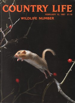 Country Life: February 12, 1987; wildlife number; vol CLXXXI, no 7