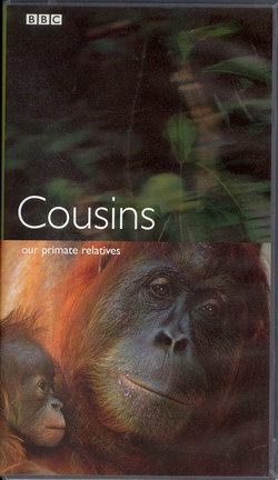 Cousins: Our Primate Relatives