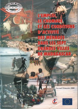L'Emploi, le Chomage et les Conditions d'Activité des Ménages dans les Sept Grandes Villes de Madagascar: Premiers résultats de l'enquête emploi urbain 2000: Second trimestre 2000
