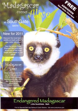 Endangered Madagascar: at SouthGate, Bath