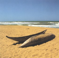 A fisherman's dugout canoes on a deserted beach in East Madagascar