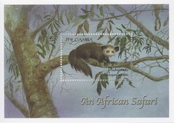 An African Safari: Aye-Aye: Daubentonia madagascariensis