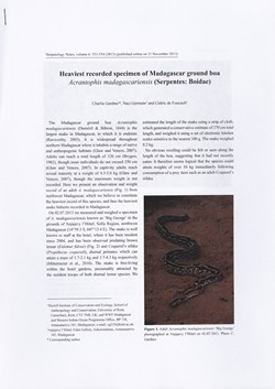 Heaviest recorded specimen of Madagascar ground boa Acrantophis madagascariensis (Serpentes: Boidae)