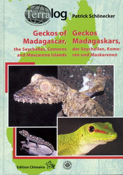 Geckos of Madagascar, the Seychelles, Comoros and Mascarene Islands: Geckos Madagaskars, der Seychellen, Komoren und Maskarenen