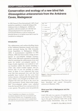 Conservation and Ecology of a New Blind Fish Glossogobius ankaranensis from the Ankárana Caves, Madagascar