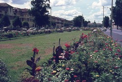 Avenue de la Libération [Avenue de l'Indépendance]: Antananarivo