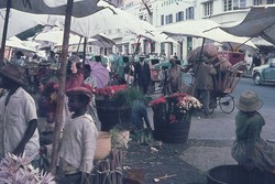 Cut flowers for sale, ny Zoma market: Rue du 26 Juin 1960, Antananarivo