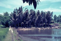 The Golaz's pond: Soavinandriana