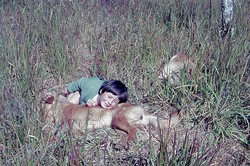 Hilary Arnold with dogs