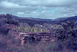 Family tomb: Soavinandriana