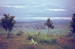 Soavinandriana landscape