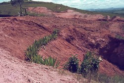 Roadside erosion at Soavinandriana