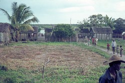 Village near Tamatave