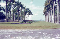 Avenue de l'Independence: Tamatave