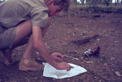 Ken Smith with a chameleon: Ambositra