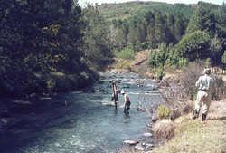 Damming the river: Antsampandrano Forestry Station