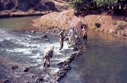 Damming the river: Antsampandrano Forestry Station