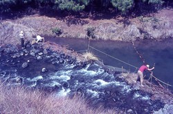 Damming the river: Antsampandrano Forestry Station