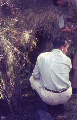 Dougie Barker and Chris Inchley setting traps for aquatic tenrecs: Antsampandrano Forestry Station