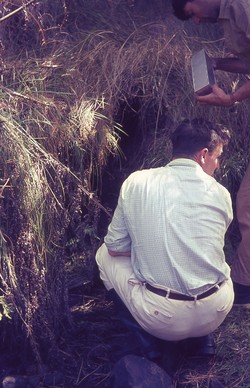 Dougie Barker and Chris Inchley setting traps for aquatic tenrecs: Antsampandrano Forestry Station