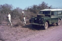 The Edinburgh University Zoological Expedition Land Rover in the spiny forest: Ejeda