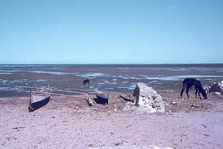 Mudflats at low tide: Tulear