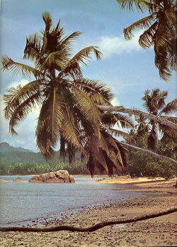 Îles des l'Océan Indien