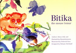 Bitika the Mouse Lemur