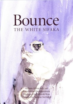 Bounce the White Sifaka