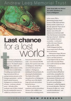 Last Chance for a Lost World: Andrew Lees Memorial Trust