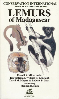 Lemurs of Madagascar