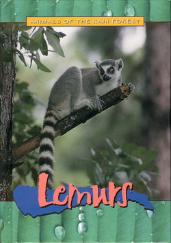 Lemurs: Animals of the Rain Forest