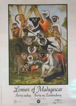 Lemurs of Madagascar: Arovy Izahy. Arovy ny Zavaboahary.