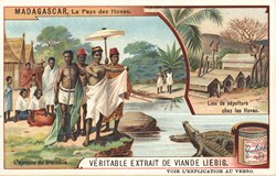 L'épreuve du crocodile / Lieu de sépulture chez les Hovas