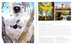 Madagascar: An Island of Marvels: with Amelia Dalton / 12th - 27th October 2012