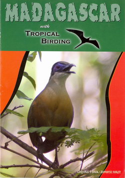 Madagascar with Tropical Birding