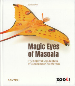 Magic Eyes of Masoala: The Colorful Lepidopters of Madagascar Rainforests