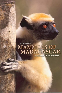 Mammals of Madagascar: A Complete Guide