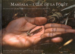 Masoala – L'Œil de la Forêt: Une Nouvelle Stratégie de Conversation pour la Forêt Tropicale de Madagascar