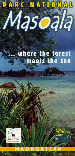 Parc National Masoala: ...where the forest meets the sea