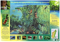 Masoala Poster: Ala kanto ka kajiantsika ho lovain'ny taranaka / Let's all help save Madagascar's beautiful forests