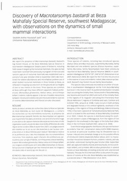 Discovery of Macrotarsomys bastardi at Beza Mahafaly Special Reserve, Southwest Madagascar, with Observations on the Dynamics of Small Mammal Interactions