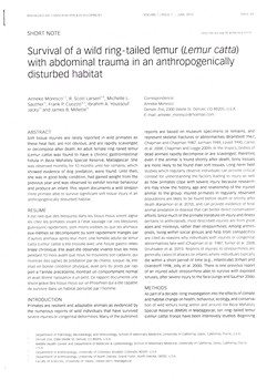 Survival of a wild ring-tailed lemur (Lemur catta) with abdominal trauma in an anthropogenically disturbed habitat