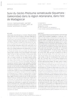 Suivi du Gecko Phelsuma serraticauda (Squamata: Gekkonidae) dans la rgion Atsinanana, dans l'est de Madagascar