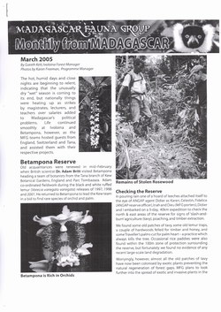 Monthly from Madagascar: Madagascar Fauna Group: March 2005: Volume 2, Issue 3