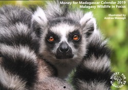 Money for Madagascar Calendar 2019: Madagascar Wildlife in Focus; illustrated by Andrea Massagli